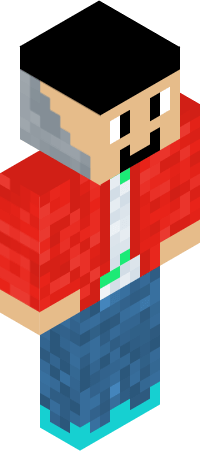 DSNS minecraft avatar